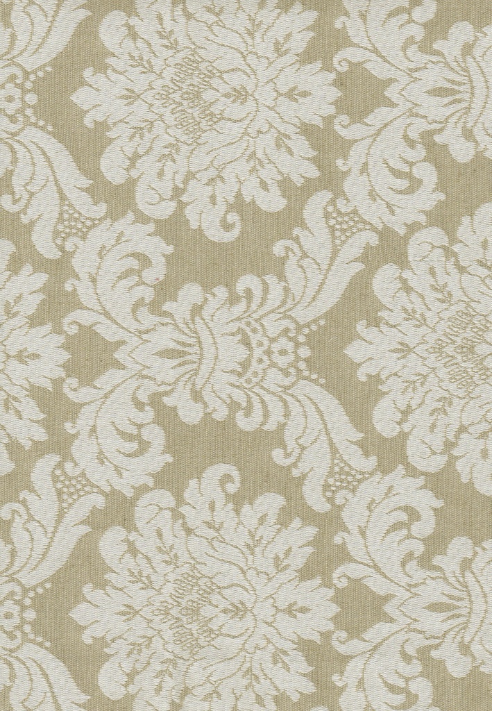 Colino Reina Lino
